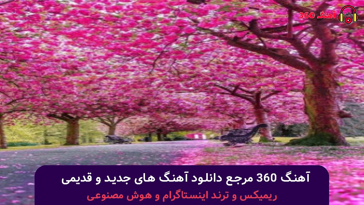 کاور آهنگ بی انصافی نکن به قلب من بی احترامی نکن با صدای